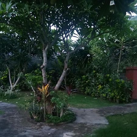 Molleh Guest House Pemuteran Kültér fotó