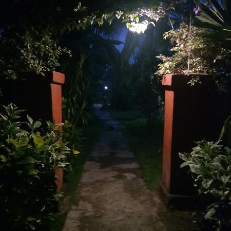 Molleh Guest House Pemuteran Kültér fotó